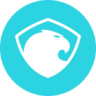 Browser Detection